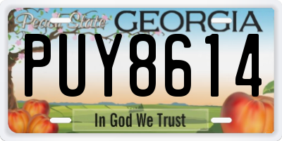 GA license plate PUY8614