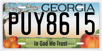 GA license plate PUY8615