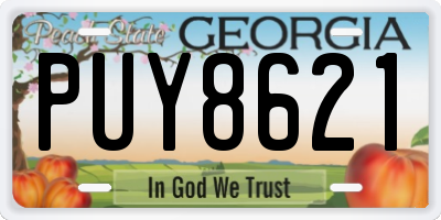 GA license plate PUY8621