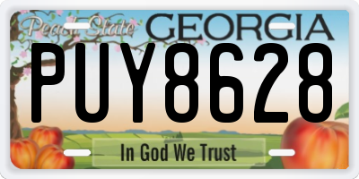 GA license plate PUY8628