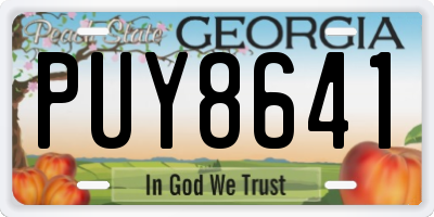 GA license plate PUY8641