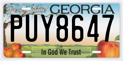 GA license plate PUY8647