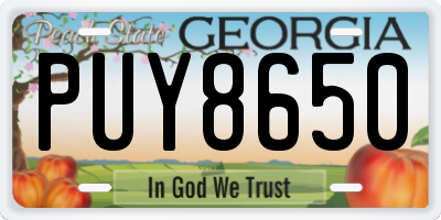 GA license plate PUY8650