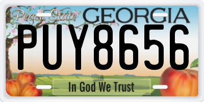 GA license plate PUY8656