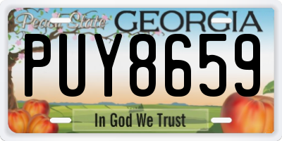 GA license plate PUY8659