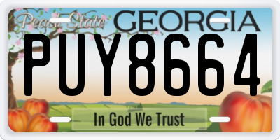 GA license plate PUY8664