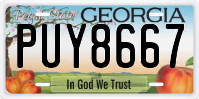 GA license plate PUY8667