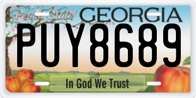 GA license plate PUY8689