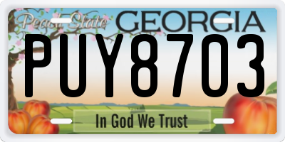 GA license plate PUY8703