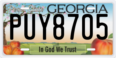 GA license plate PUY8705