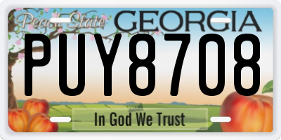 GA license plate PUY8708