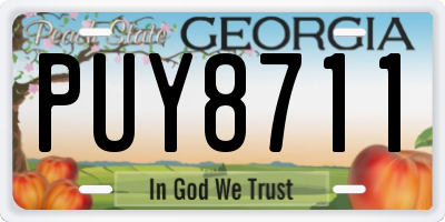 GA license plate PUY8711
