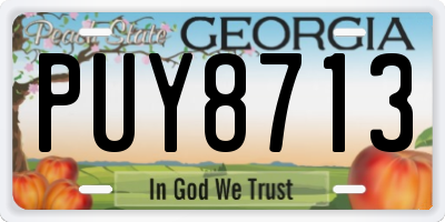 GA license plate PUY8713