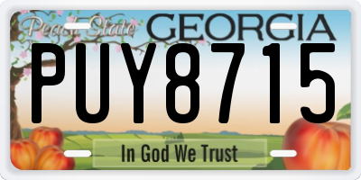 GA license plate PUY8715
