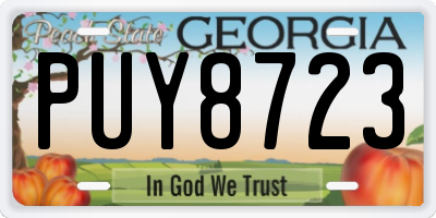 GA license plate PUY8723