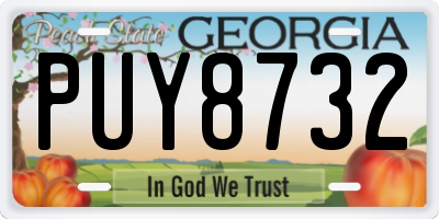 GA license plate PUY8732