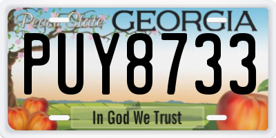 GA license plate PUY8733