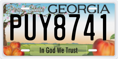 GA license plate PUY8741