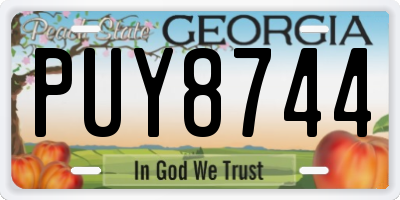 GA license plate PUY8744
