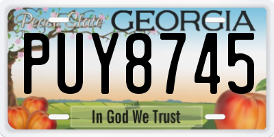GA license plate PUY8745