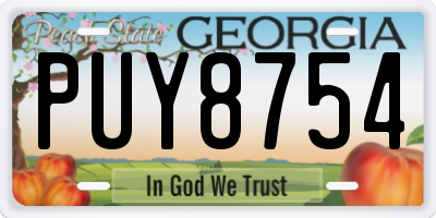 GA license plate PUY8754
