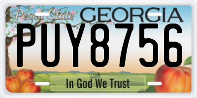 GA license plate PUY8756
