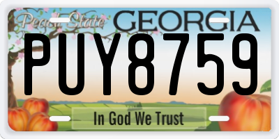 GA license plate PUY8759