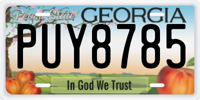 GA license plate PUY8785