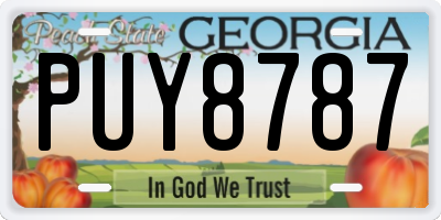 GA license plate PUY8787