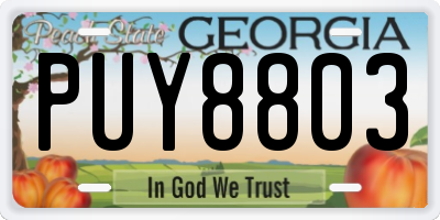 GA license plate PUY8803