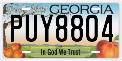 GA license plate PUY8804