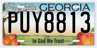 GA license plate PUY8813