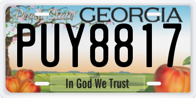 GA license plate PUY8817