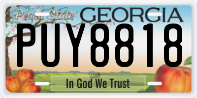 GA license plate PUY8818