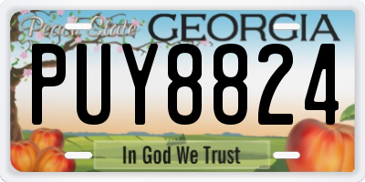 GA license plate PUY8824