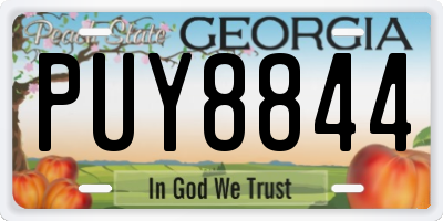 GA license plate PUY8844