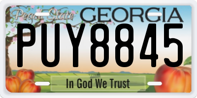 GA license plate PUY8845