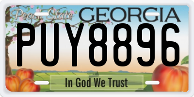GA license plate PUY8896