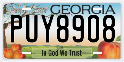 GA license plate PUY8908