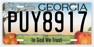 GA license plate PUY8917