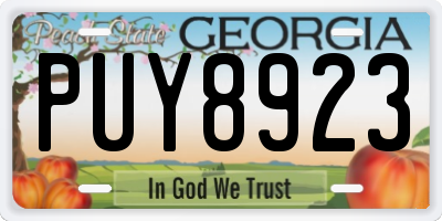 GA license plate PUY8923