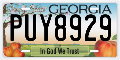 GA license plate PUY8929