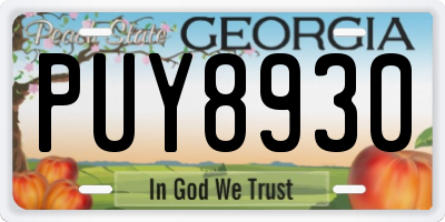 GA license plate PUY8930