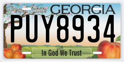 GA license plate PUY8934
