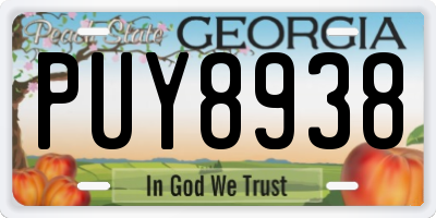 GA license plate PUY8938