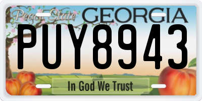 GA license plate PUY8943
