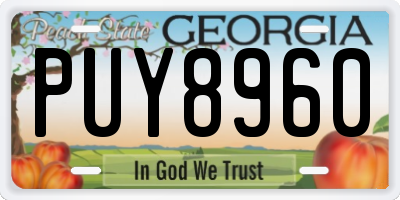 GA license plate PUY8960