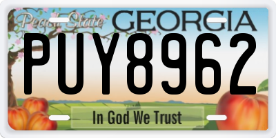 GA license plate PUY8962