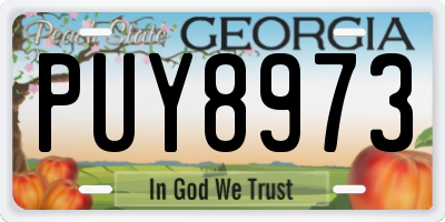 GA license plate PUY8973