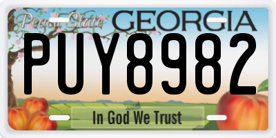GA license plate PUY8982